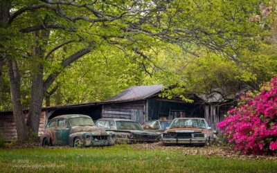 "Lived and Learned",   Canon 5DS R, 70-200mm f/2.8L Mk2, Singh-Ray Color Combo Polarizer