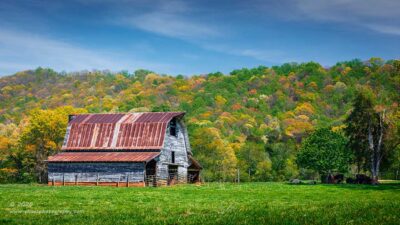 "Moove to the Shade",   Canon 5DS R, 70-200mm f/2.8L Mk2, Singh-Ray Color Combo Polarizer