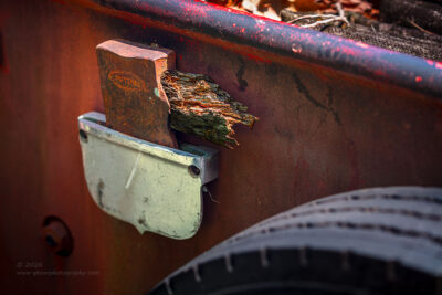 "Can't Handle It",   Canon 5DS R, 70-200mm f/2.8L Mk2, Singh-Ray Color Combo Polarizer