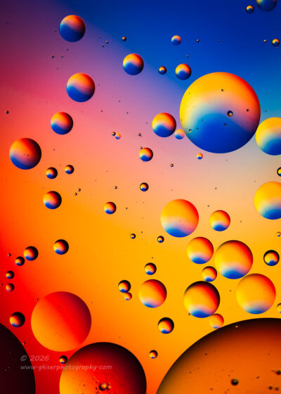 "A Small Universe",   Canon EOS R5, RF 100mm f/2.8L Macro, No filters