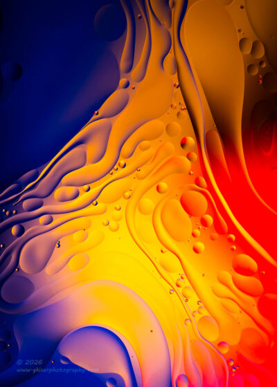 "Color Flex",   Canon EOS R5, RF 100mm f/2.8L Macro, No filters