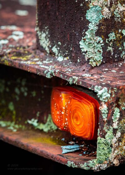 "Lichen Indicator",   Canon 5DS R, 70-200mm f/2.8L Mk2, Singh-Ray Color Combo Polarizer